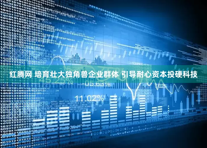 红腾网 培育壮大独角兽企业群体 引导耐心资本投硬科技