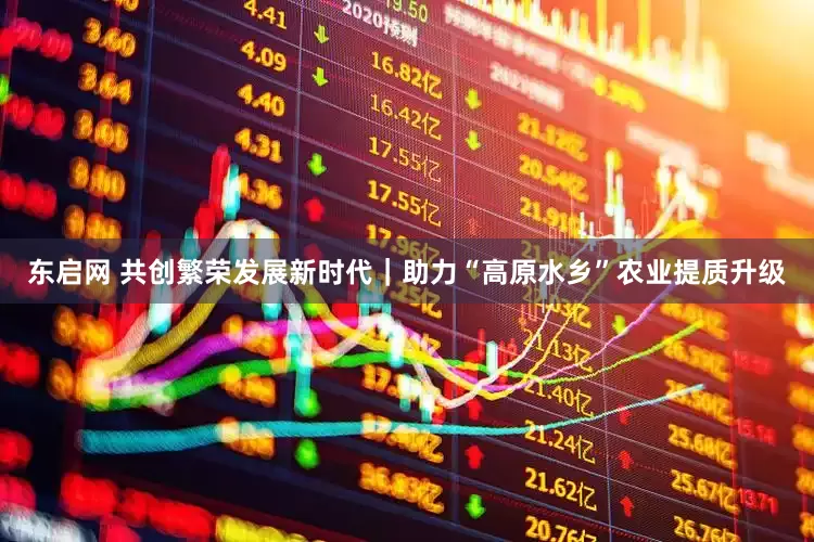 东启网 共创繁荣发展新时代｜助力“高原水乡”农业提质升级
